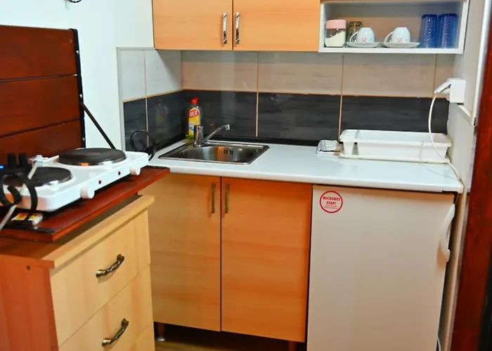 Gocki Raj 2 펜션 *